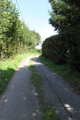 Gerbette